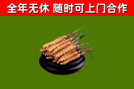 当阳市烟酒回收冬虫夏草.jpg
